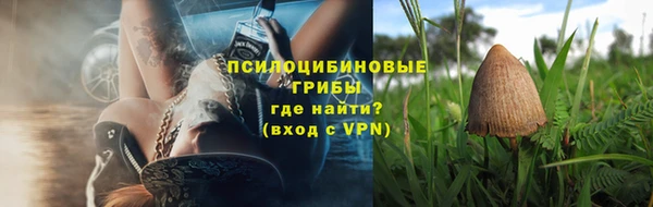 ешки Алзамай
