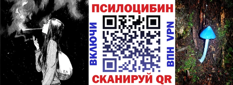Галлюциногенные грибы мицелий  как найти   Нерехта 