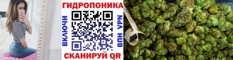 МАРИХУАНА MAZAR закладка гидра ССЫЛКА Нерехта